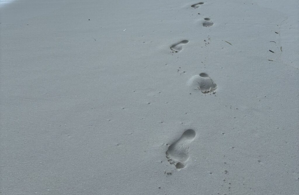 Islas Banggai Indonesia Infinita
