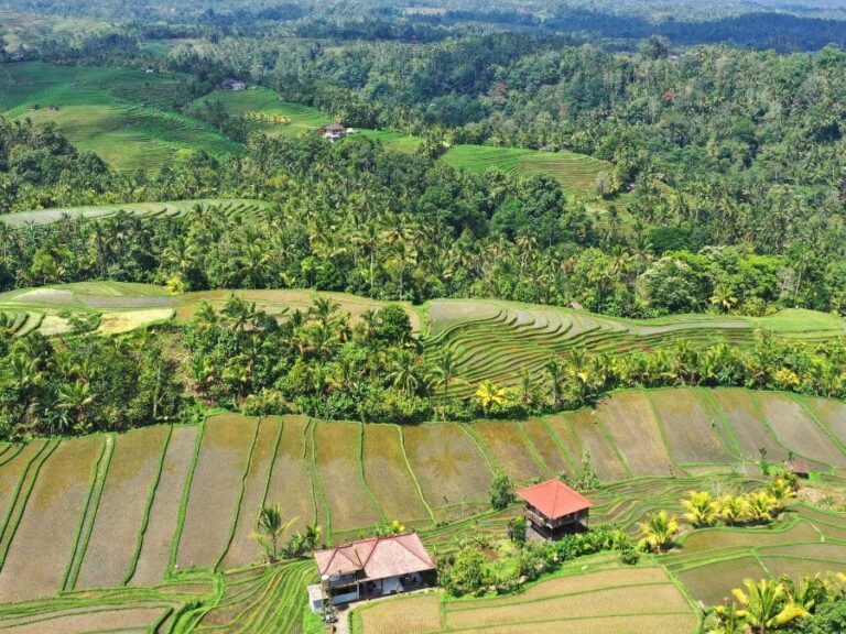 Gemas ocultas de Bali