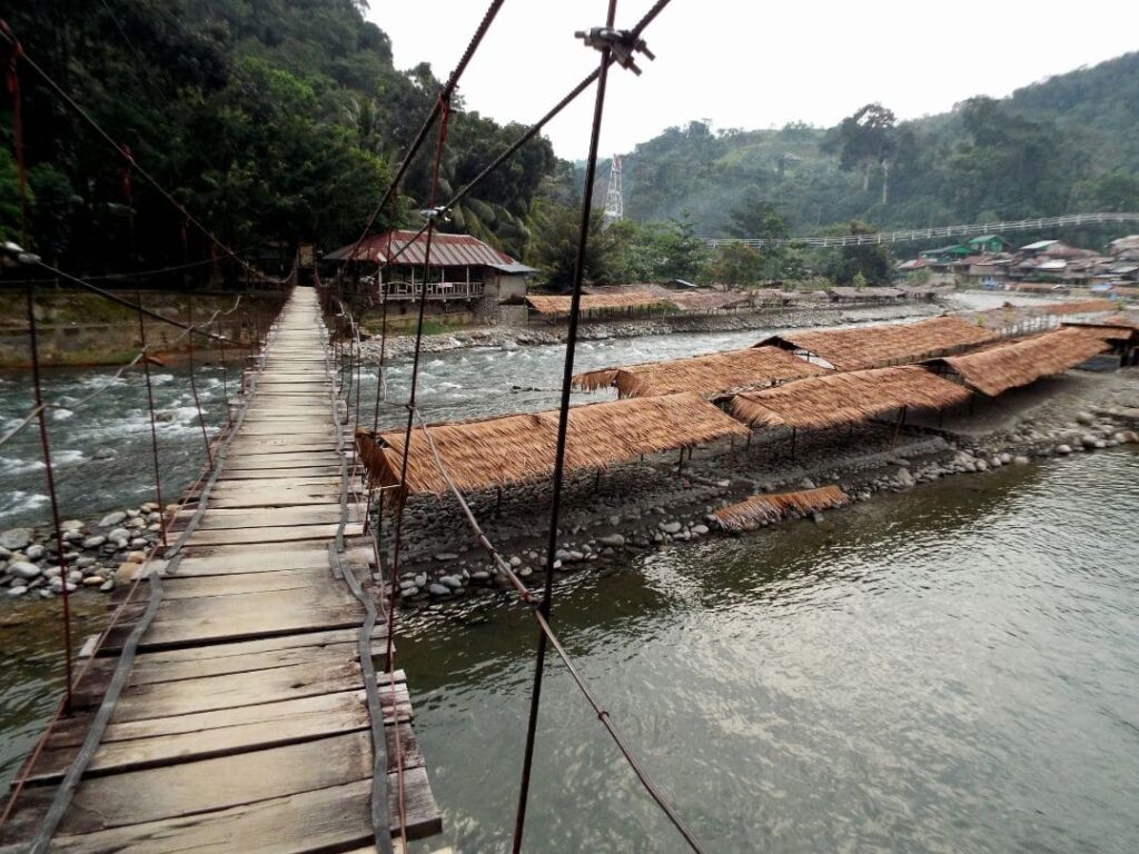 Borneo o Sumatra