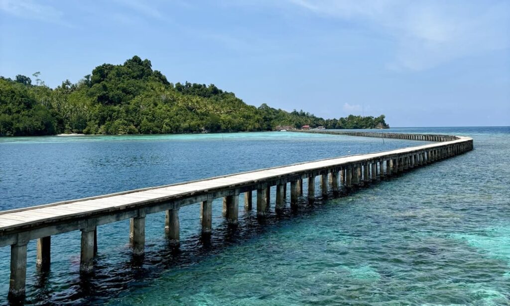 Banggai y Togean