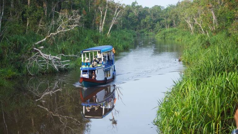 Viaje a Borneo en familia