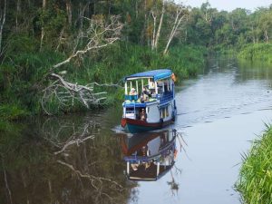 Viaje a Borneo en familia