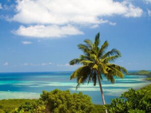 Paraíso tropical