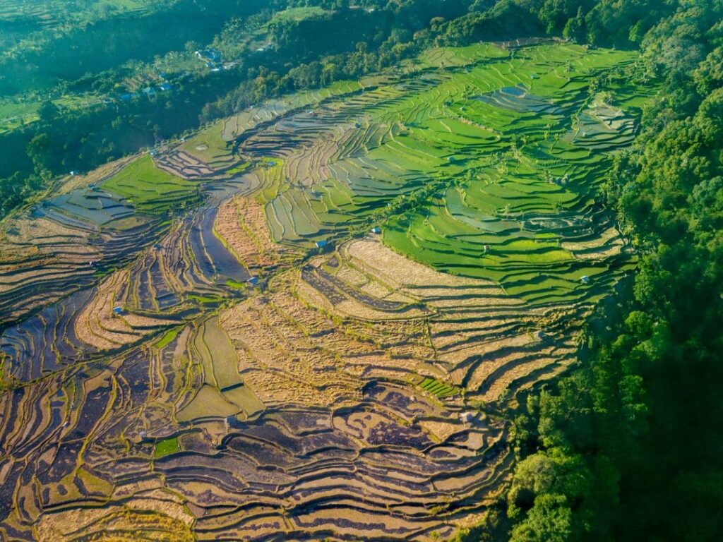 Viaje a Lombok y Gilis