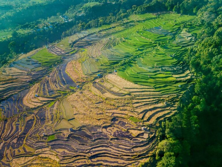 Viaje a Lombok y Gilis