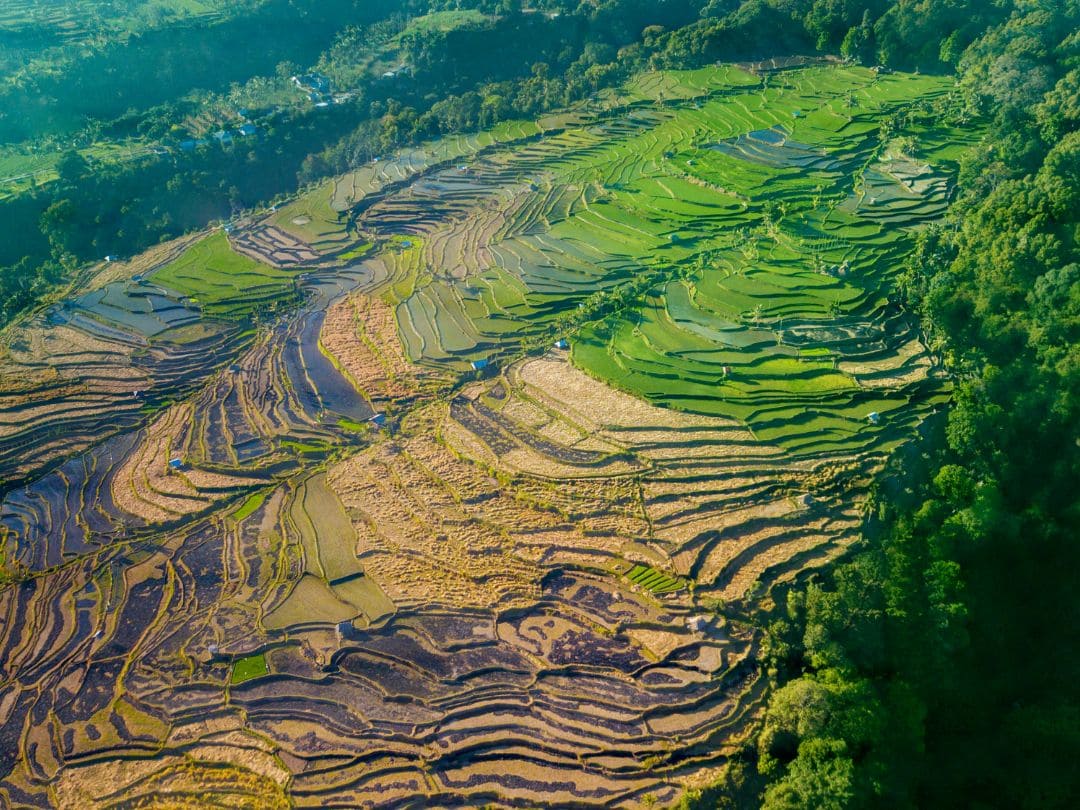 Viaje a Lombok y Gilis