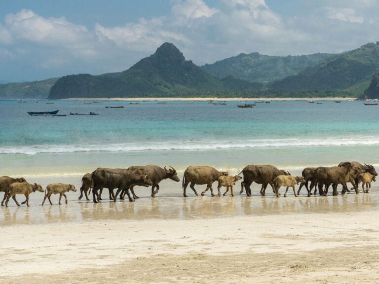 Viaje a Lombok