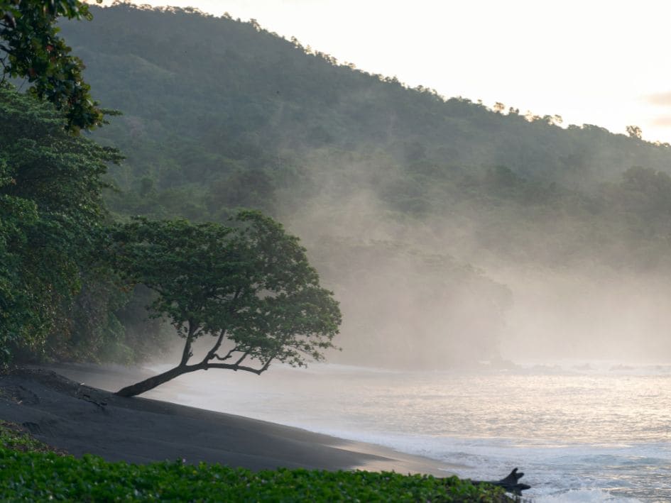 Naturaleza y Fauna de Indonesia