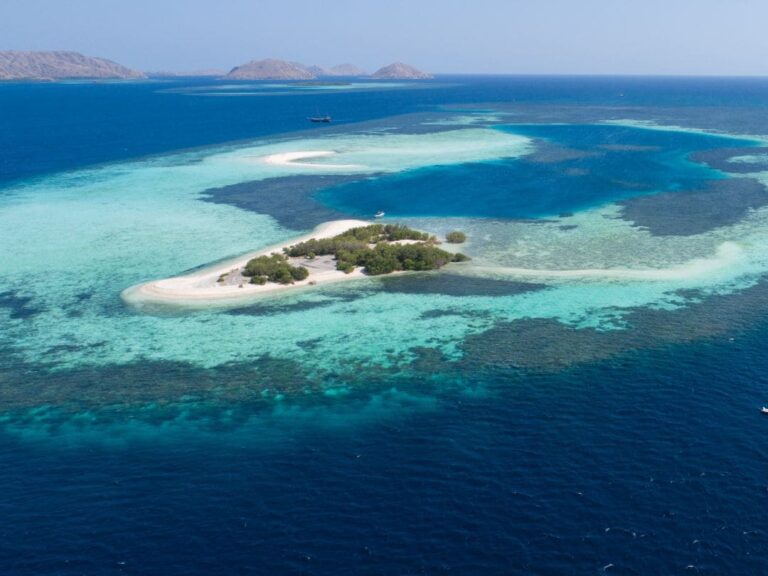 Viaje a Komodo