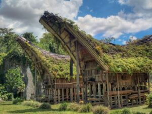 Tongkonan en Sulawesi