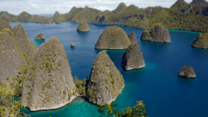Viaje a Raja Ampat